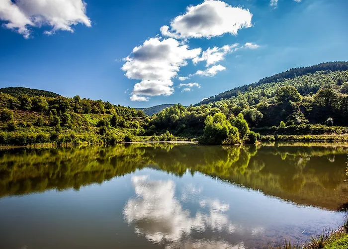 Camping Domaine Des Planesses *